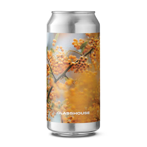 Glasshouse - In Ochre, IPA, 6.3%