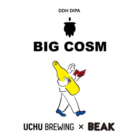 Beak - BIG COSM, DIPA, 8%