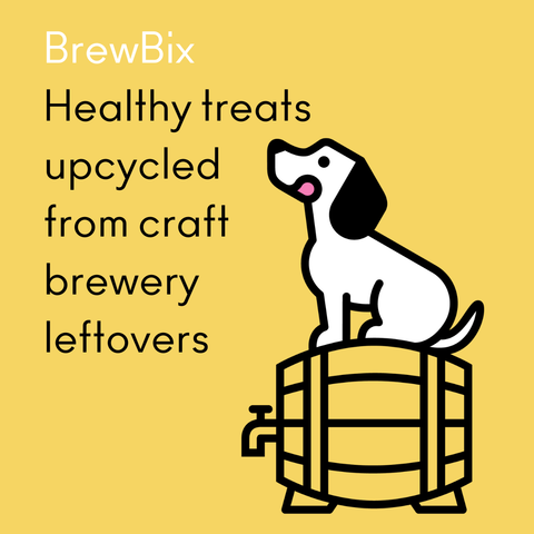 100g BrewBix Peanut Butter Dog Biscuit Box incl sample bag