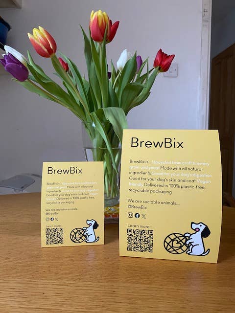 100g BrewBix Peanut Butter Dog Biscuit Box incl sample bag