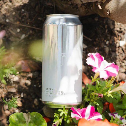 Track Brewing Co. - Stelvio, Italian Dry Hopped Pilsner, GF 4.2%