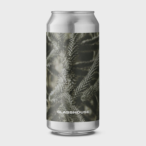 Glasshouse - Monkey Puzzle, IPA, 6.0%