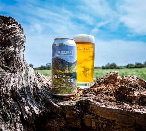 Burnt Mill - Delta Ridge, West Coast Pale, 4.8% GF
