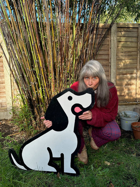 100g BrewBix Peanut Butter Dog Biscuit Box incl sample bag